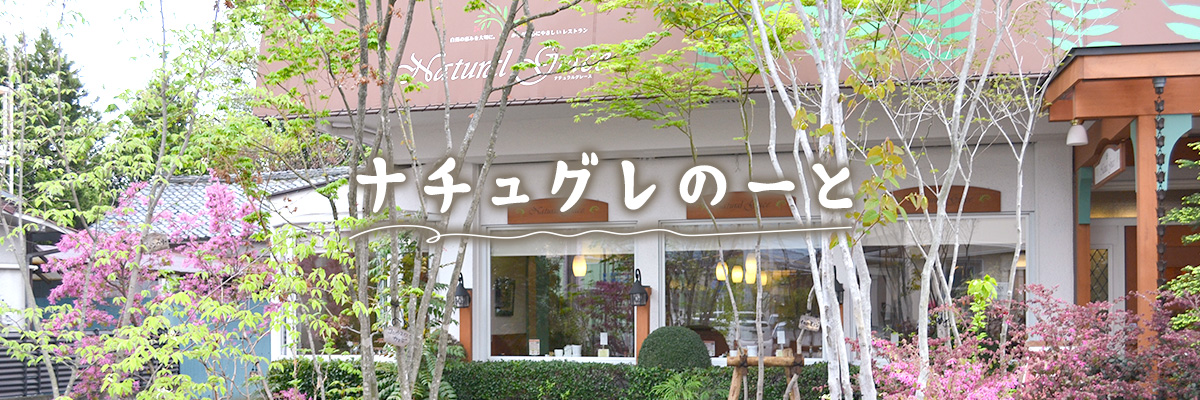 ナチュグレのーと